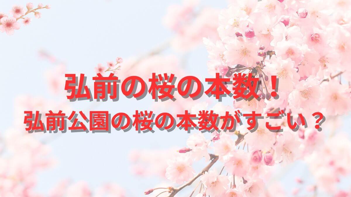 弘前の桜の本数！弘前公園の桜の本数がすごい？